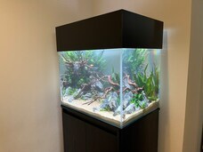 株式会社ユー花園のプレスリリース画像13