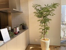 株式会社ユー花園のプレスリリース画像3