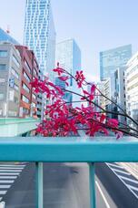 株式会社ユー花園のプレスリリース画像16