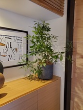 株式会社ユー花園のプレスリリース画像1