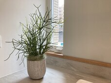 株式会社ユー花園のプレスリリース画像8