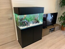 株式会社ユー花園のプレスリリース画像14