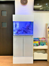 株式会社ユー花園のプレスリリース画像11