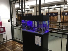 株式会社ユー花園のプレスリリース画像12