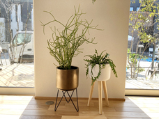 株式会社ユー花園のプレスリリース画像4