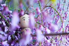 株式会社ユー花園のプレスリリース画像10