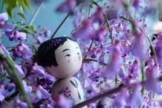 株式会社ユー花園のプレスリリース画像14