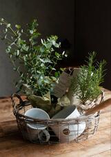 株式会社ユー花園のプレスリリース画像2