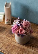 株式会社ユー花園のプレスリリース画像6