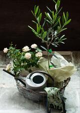 株式会社ユー花園のプレスリリース画像4