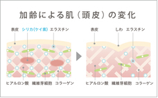 株式会社グッドフェイスのプレスリリース画像6