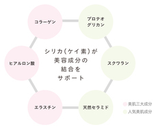 株式会社グッドフェイスのプレスリリース画像5