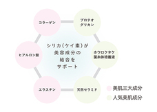 株式会社グッドフェイスのプレスリリース画像2