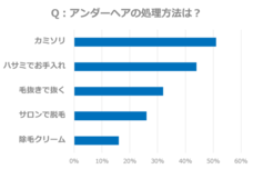 デジタルレクリム株式会社のプレスリリース画像1
