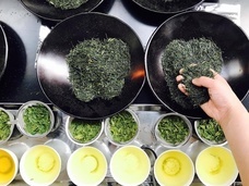 株式会社ビューティーワールドのプレスリリース画像3