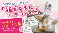株式会社ビューティーワールドのプレスリリース11