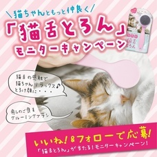 株式会社ビューティーワールドのプレスリリース画像2