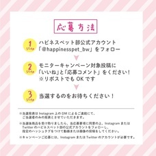 株式会社ビューティーワールドのプレスリリース画像3