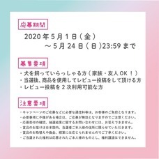 株式会社ビューティーワールドのプレスリリース画像3
