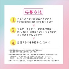 株式会社ビューティーワールドのプレスリリース画像2