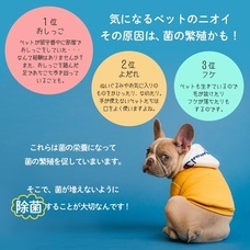 株式会社ビューティーワールドのプレスリリース画像3