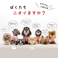 株式会社ビューティーワールドのプレスリリース画像2