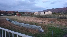 ＮＰＯ法人トイボックスのプレスリリース画像1