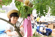 ＮＰＯ法人トイボックスのプレスリリース画像6