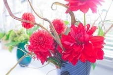 ＮＰＯ法人トイボックスのプレスリリース画像4