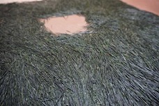 日本茶ドキュメンタリー映画制作チームのプレスリリース画像5