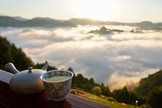 日本茶ドキュメンタリー映画制作チームのプレスリリース画像6