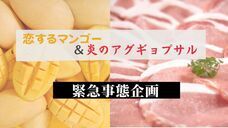 株式会社てりとりーのプレスリリース画像1