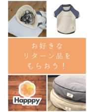 株式会社Coinuのプレスリリース画像4