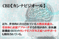 アドエンターグループ株式会社のプレスリリース画像1