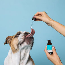 アドエンターグループ株式会社のプレスリリース画像5