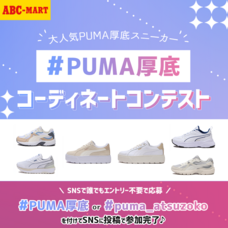 ジェミー株式会社のプレスリリース画像1