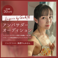 ジェミー株式会社のプレスリリース画像1