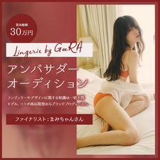 ジェミー株式会社のプレスリリース画像7