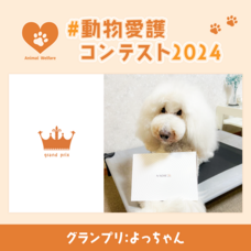 ジェミー株式会社のプレスリリース画像1