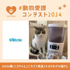 ジェミー株式会社のプレスリリース画像2