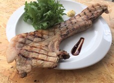 豚のひとときのプレスリリース