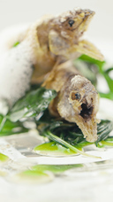 株式会社ルブトンワンのプレスリリース画像2