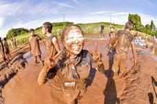 株式会社ベジリンクのプレスリリース画像10