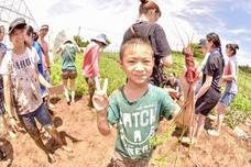 株式会社ベジリンクのプレスリリース画像4