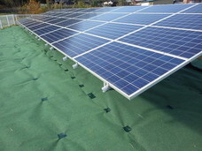 株式会社白崎コーポレーションのプレスリリース画像2