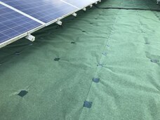 株式会社白崎コーポレーションのプレスリリース画像4