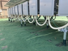 株式会社白崎コーポレーションのプレスリリース画像2