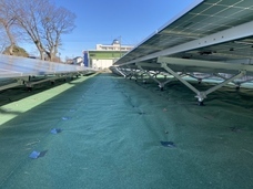 株式会社白崎コーポレーションのプレスリリース画像3