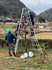 株式会社クイック・ガーデニングのプレスリリース画像1