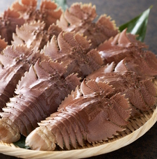 レグセントジョイラー株式会社のプレスリリース画像10